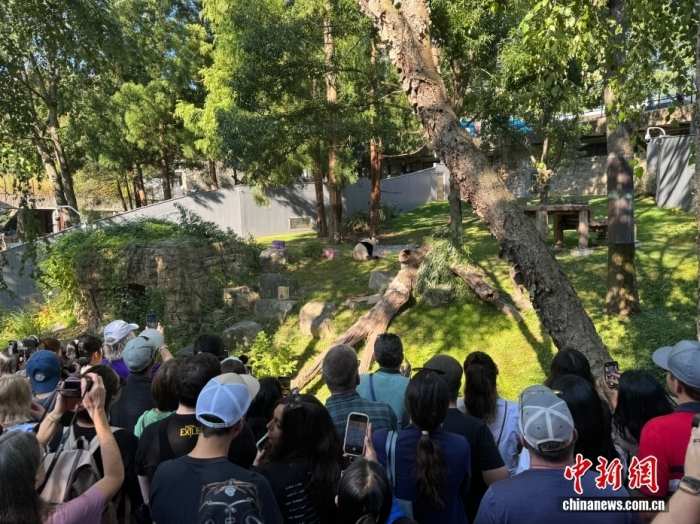 微信图片_2025-09-14_112847_286.png
